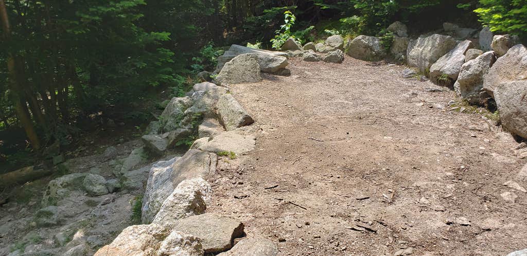 Camper submitted image from Valley Way Tentsite - 5