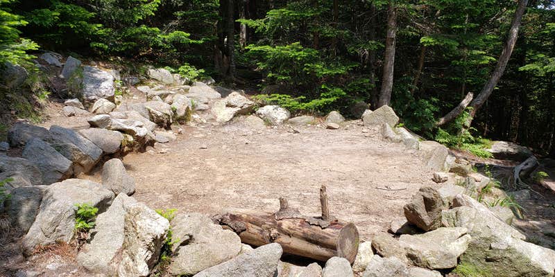 Camper submitted image from Valley Way Tentsite