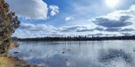 Camper submitted image from Pinetop Lakeside Valhalla