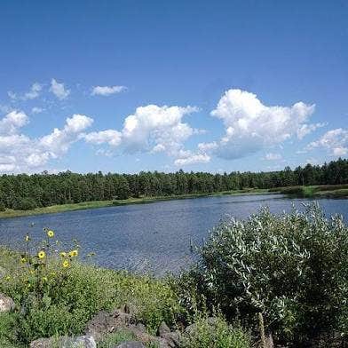 Camper-submitted photo at Pinetop Lakeside Valhalla near Lakeside, AZ