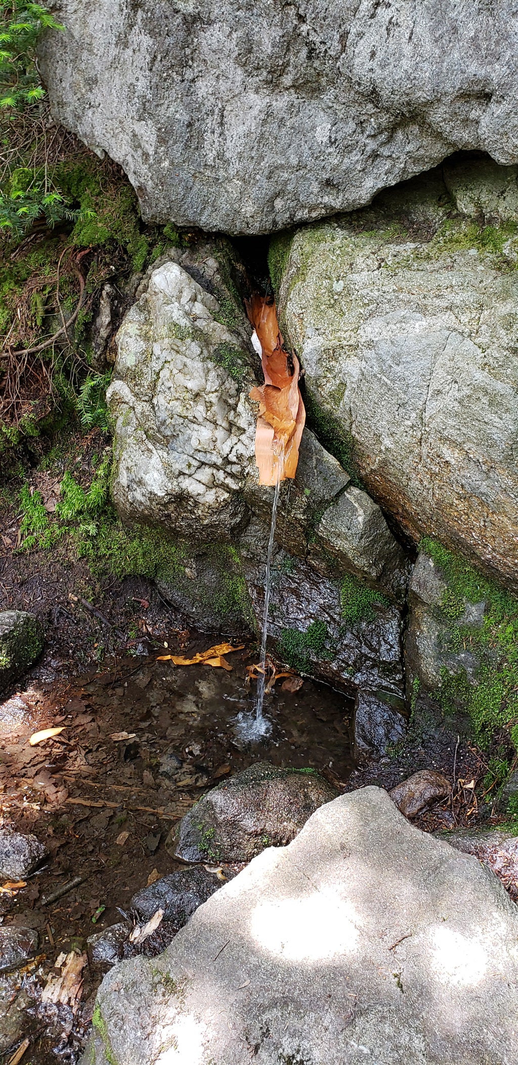 Spring; someone has added birch bark to make a spout to facilitate filling bottles. Remember to filter the water!