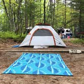 Review photo of Twelvemile Beach Campground — Pictured Rocks National Lakeshore by Dickie H., July 10, 2019