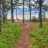 Review photo of Twelvemile Beach Campground — Pictured Rocks National Lakeshore by Dickie H., July 10, 2019