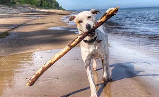 Dickie H.'s photo of camping with pets at Twelvemile Beach Campground — Pictured Rocks National Lakeshore near Grand Marais, MI