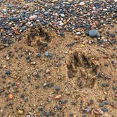 Review photo of Twelvemile Beach Campground — Pictured Rocks National Lakeshore by Dickie H., July 10, 2019