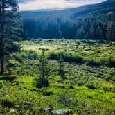 Review photo of Homestake Road Dispersed - CO by Amber W., July 10, 2019