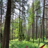 Review photo of Apgar Campground — Glacier National Park by Zach H., July 10, 2019