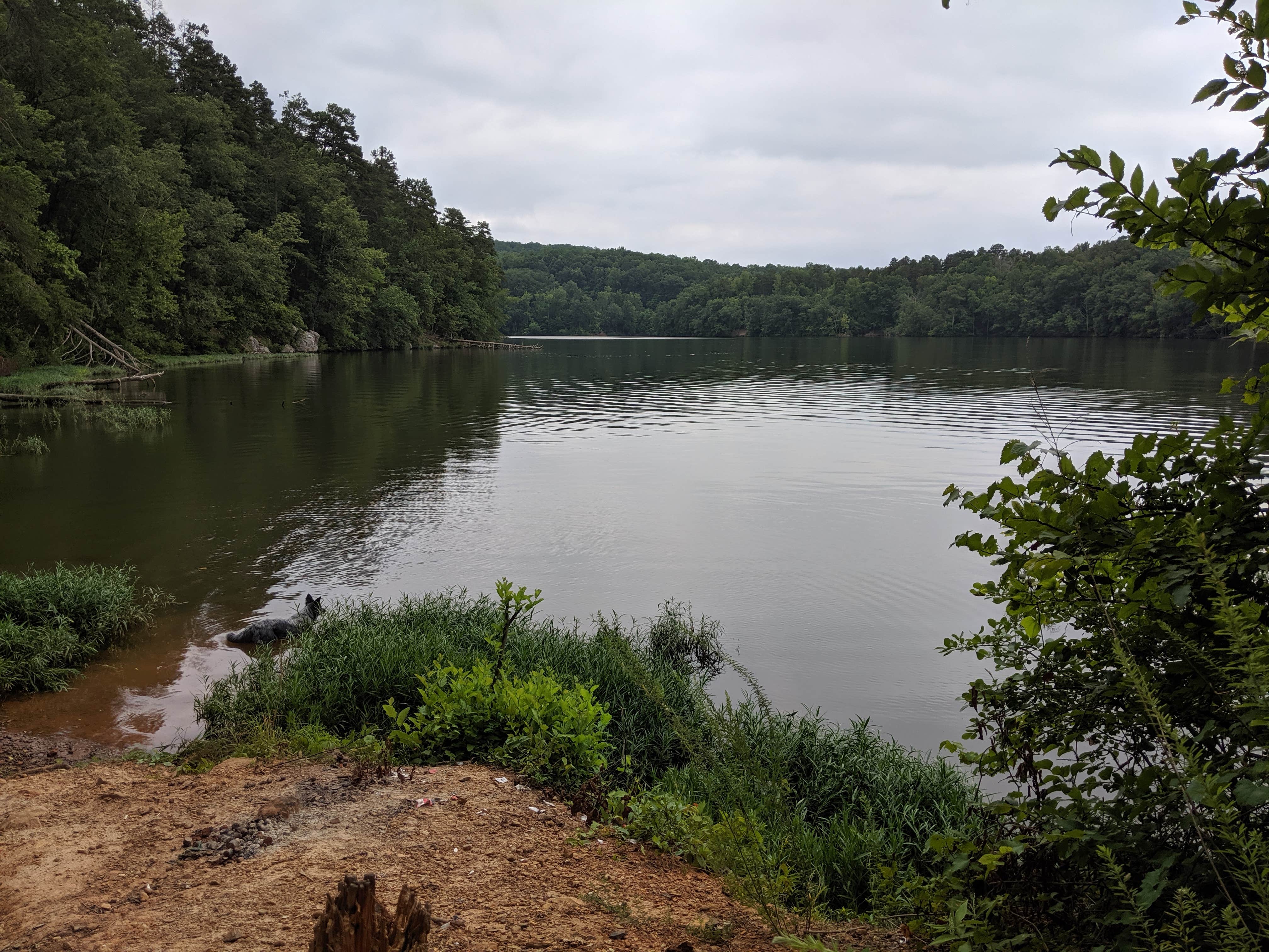 View All