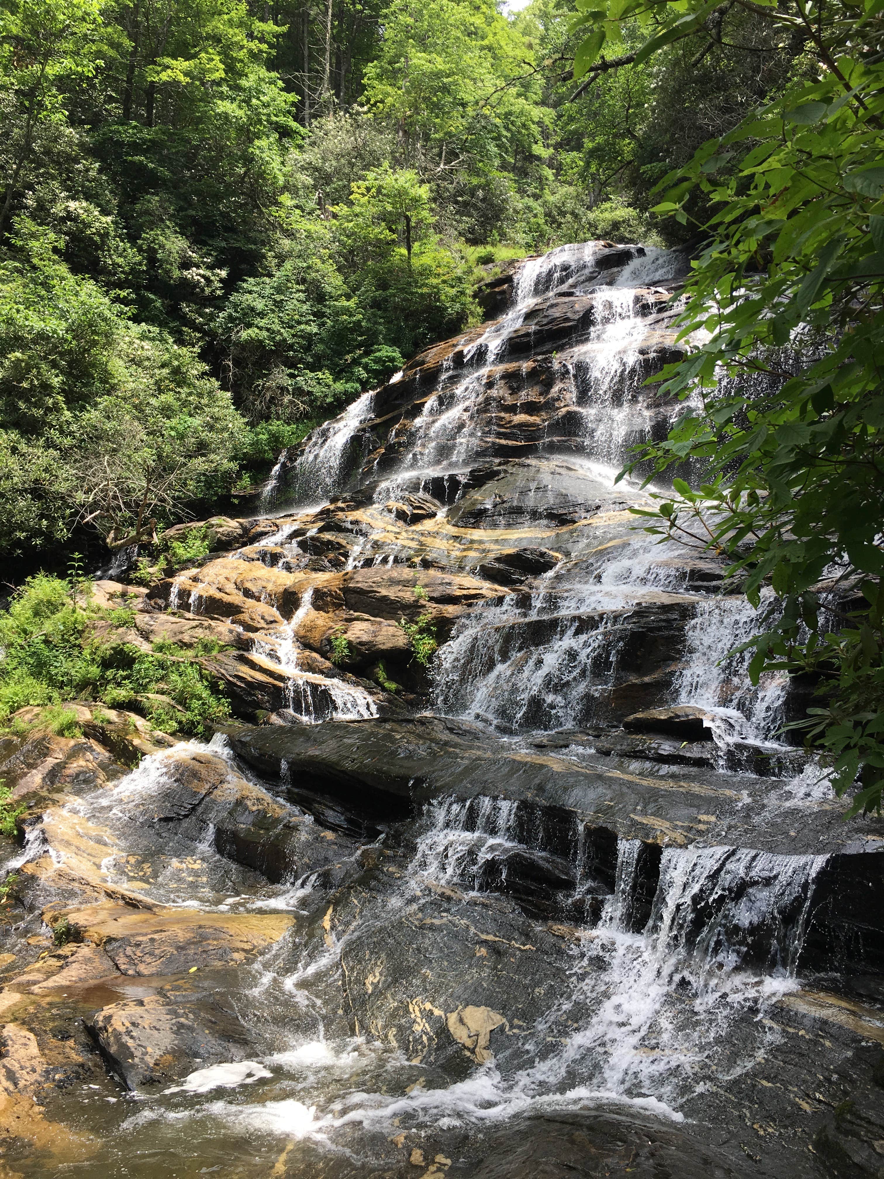 Camper submitted image from Glen Falls Backcountry Campground - 3