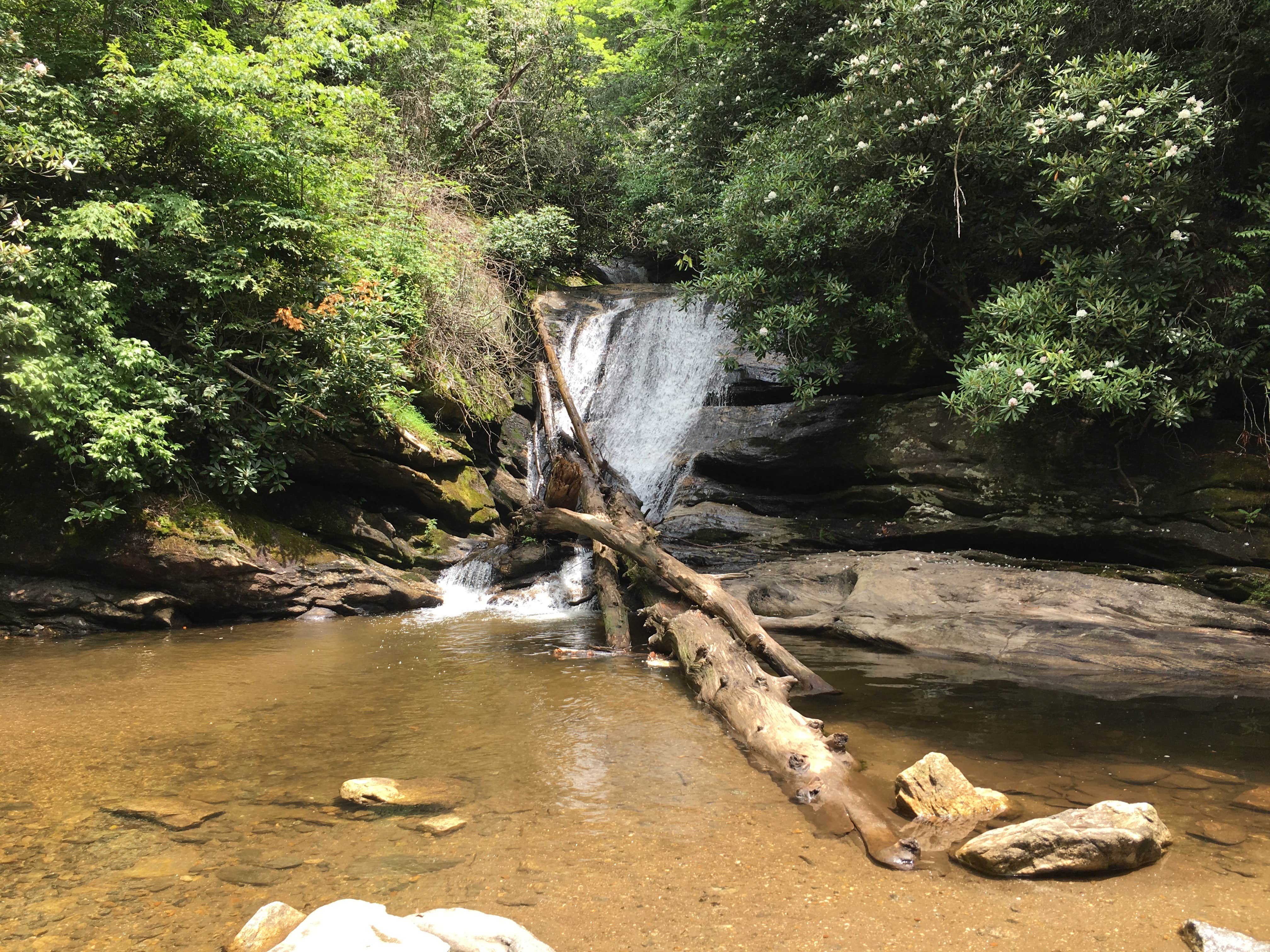 Camper-submitted photo at Glen Falls Backcountry Campground near Central, SC