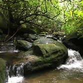 Review photo of Glen Falls Backcountry Campground by Asher K., July 10, 2019