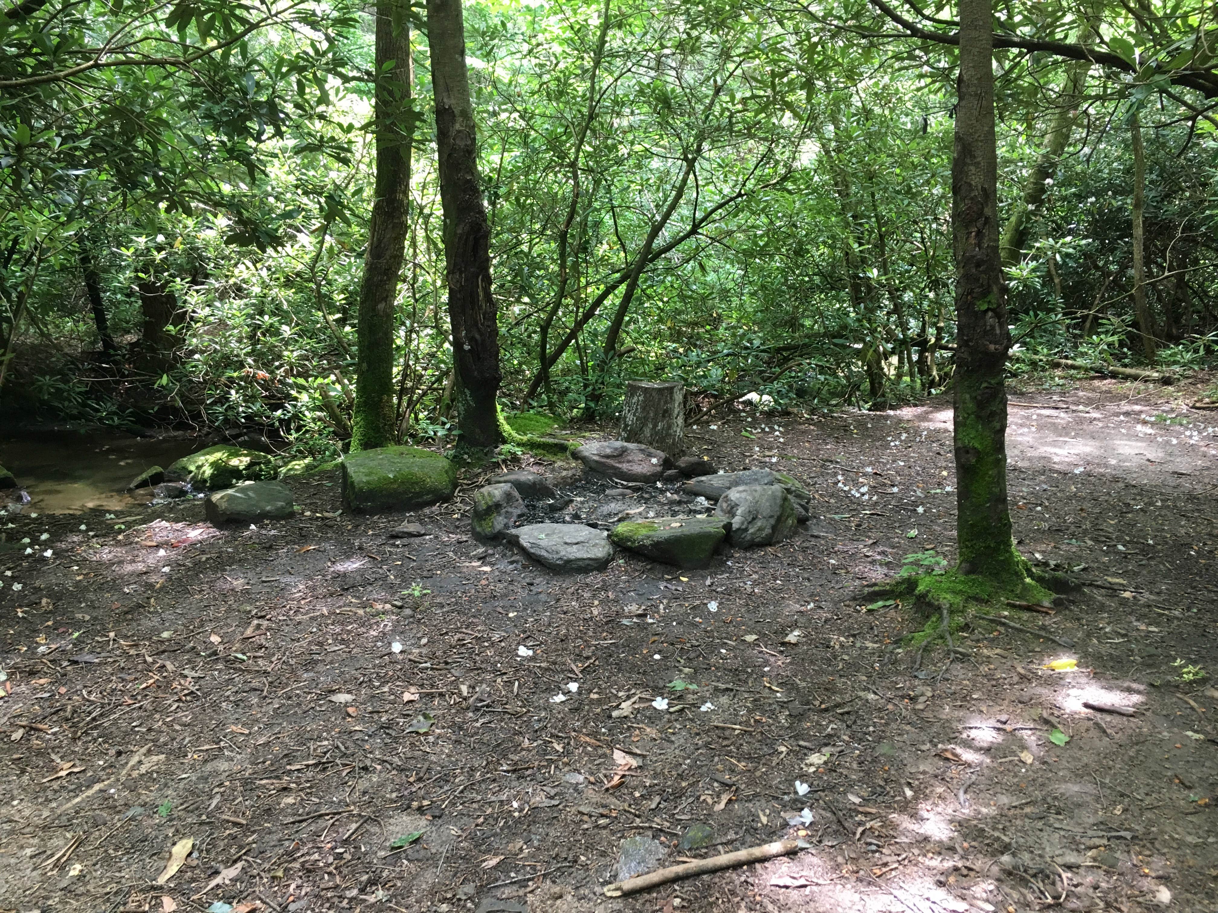 Glen Falls Backcountry Campground Highlands, NC