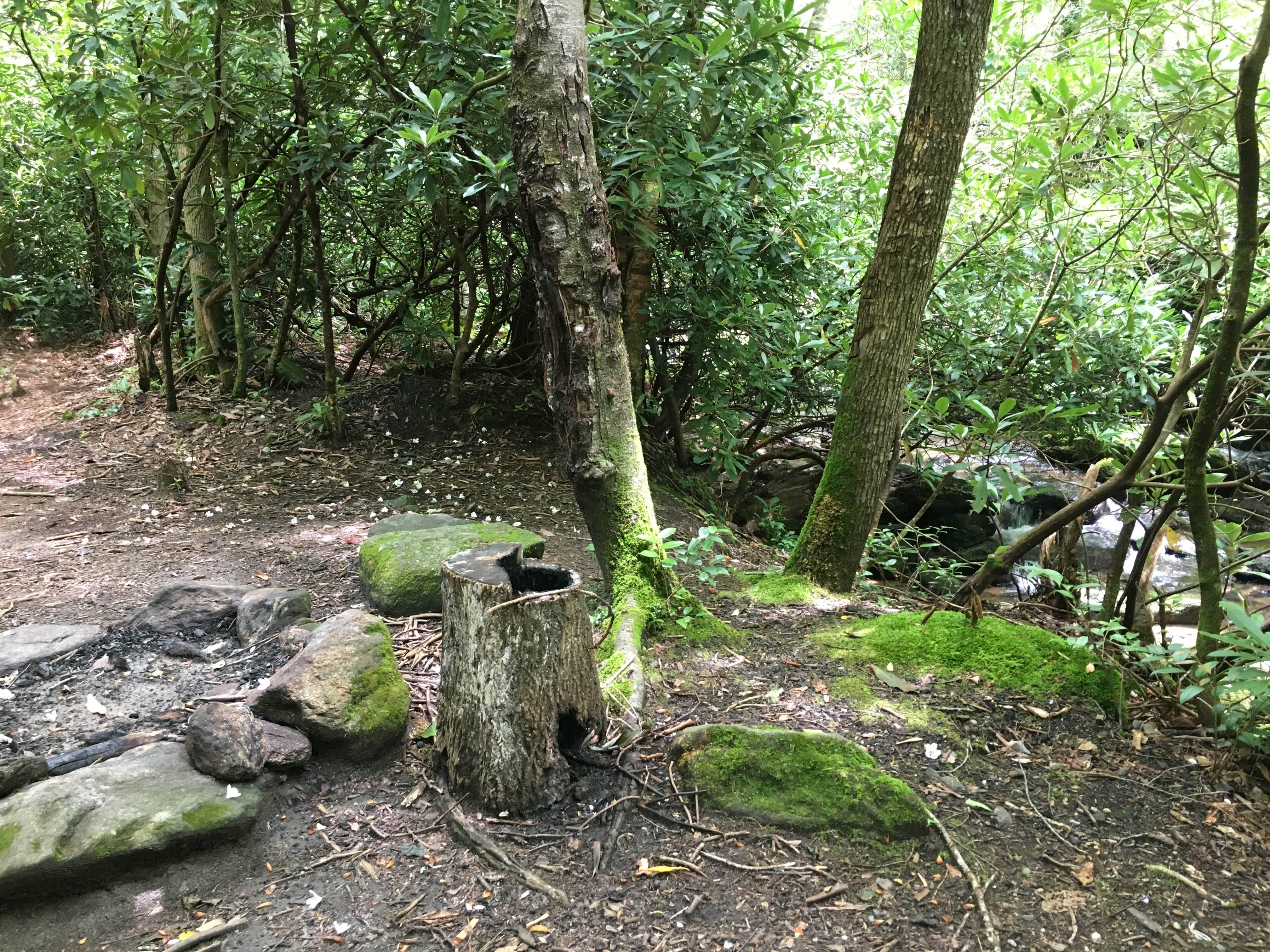 Camper-submitted photo at Glen Falls Backcountry Campground near Central, SC