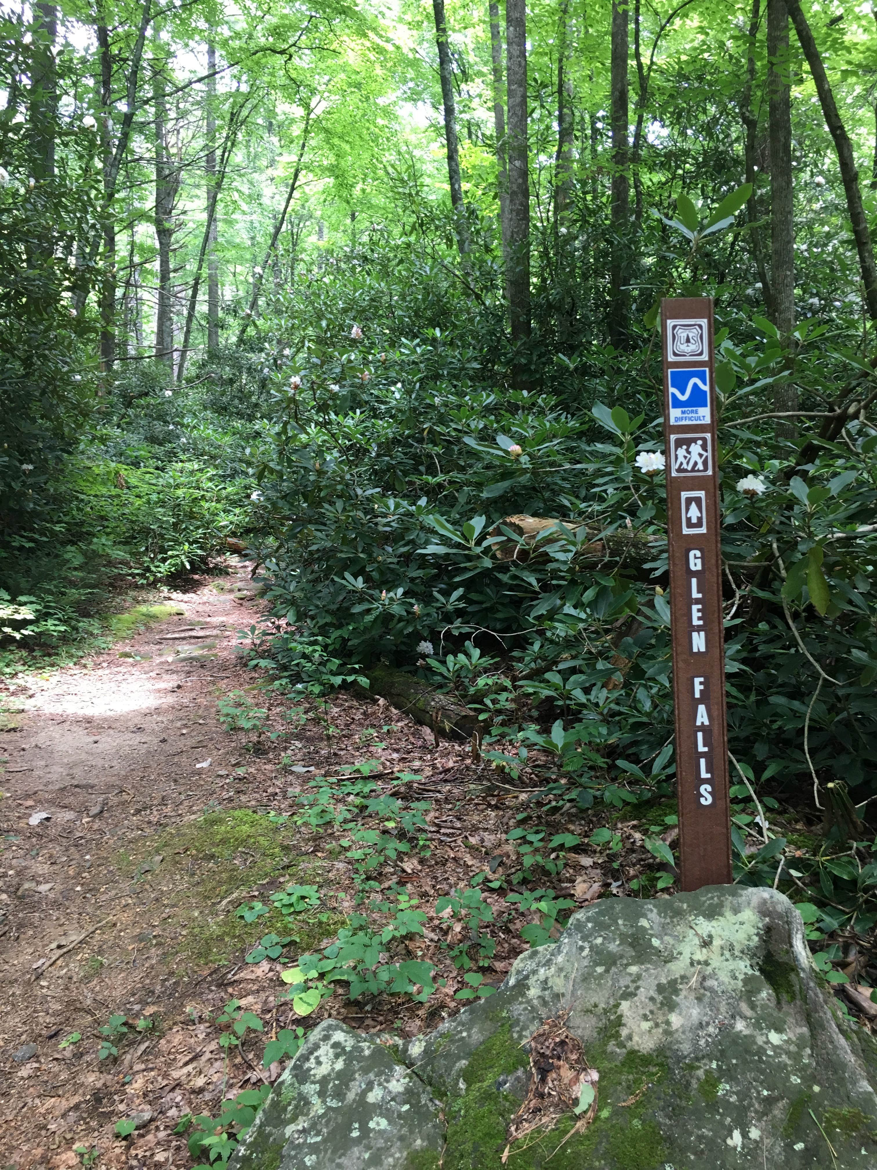 Camper-submitted photo at Glen Falls Backcountry Campground near Central, SC