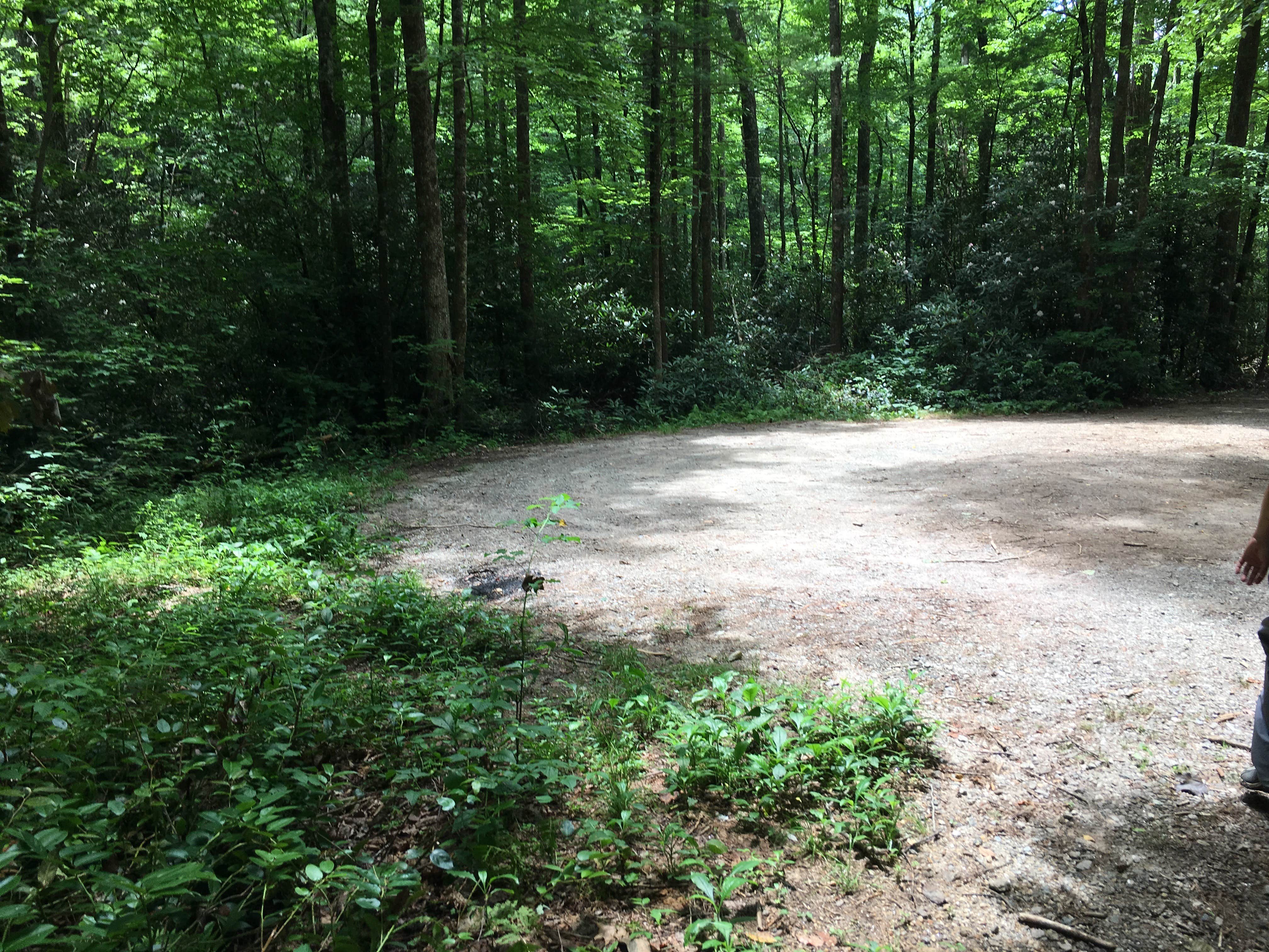 Camper-submitted photo at Glen Falls Backcountry Campground near Central, SC
