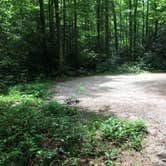 Review photo of Glen Falls Backcountry Campground by Asher K., July 10, 2019