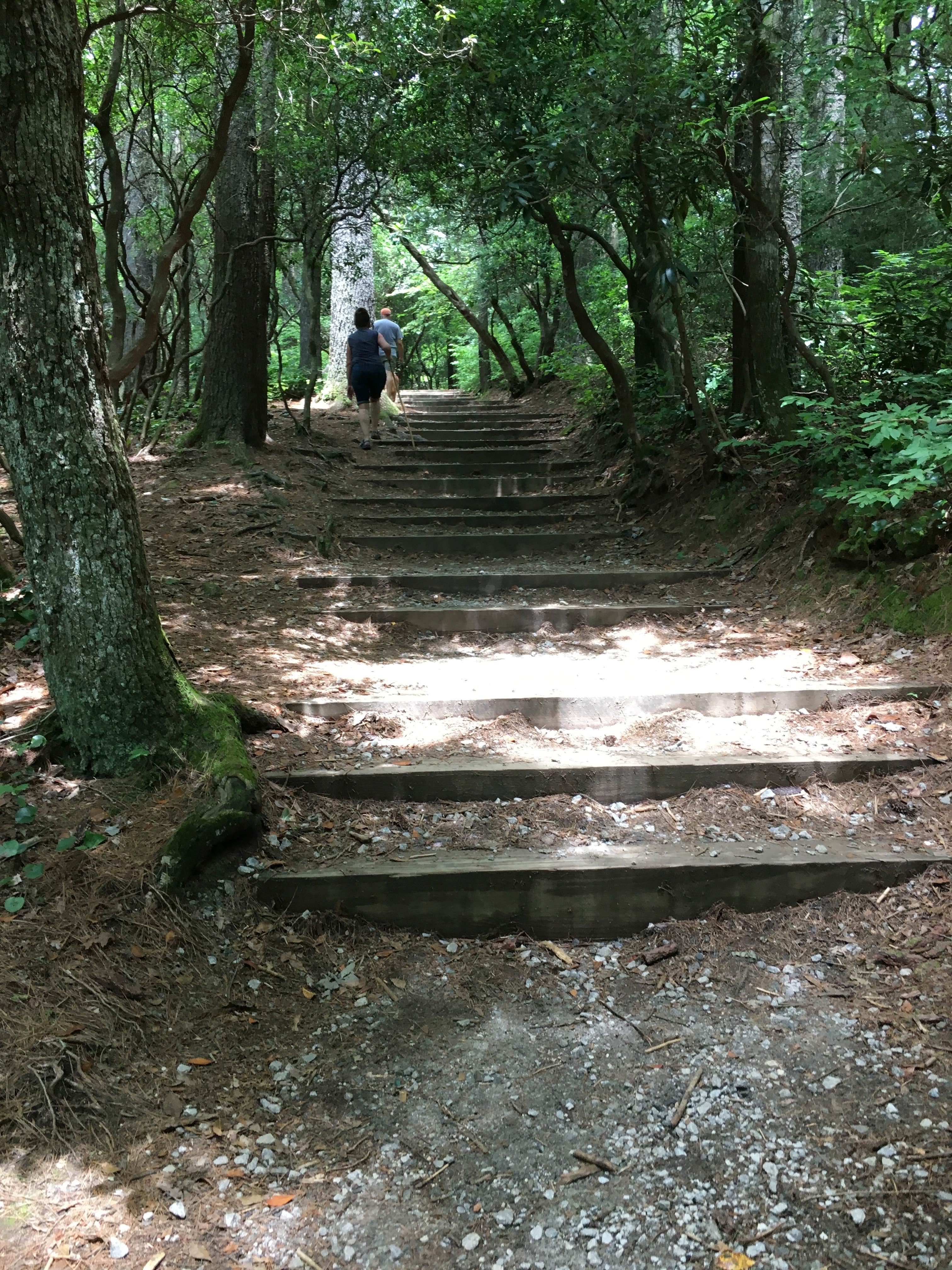 Camper-submitted photo at Glen Falls Backcountry Campground near Central, SC