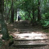 Review photo of Glen Falls Backcountry Campground by Asher K., July 10, 2019