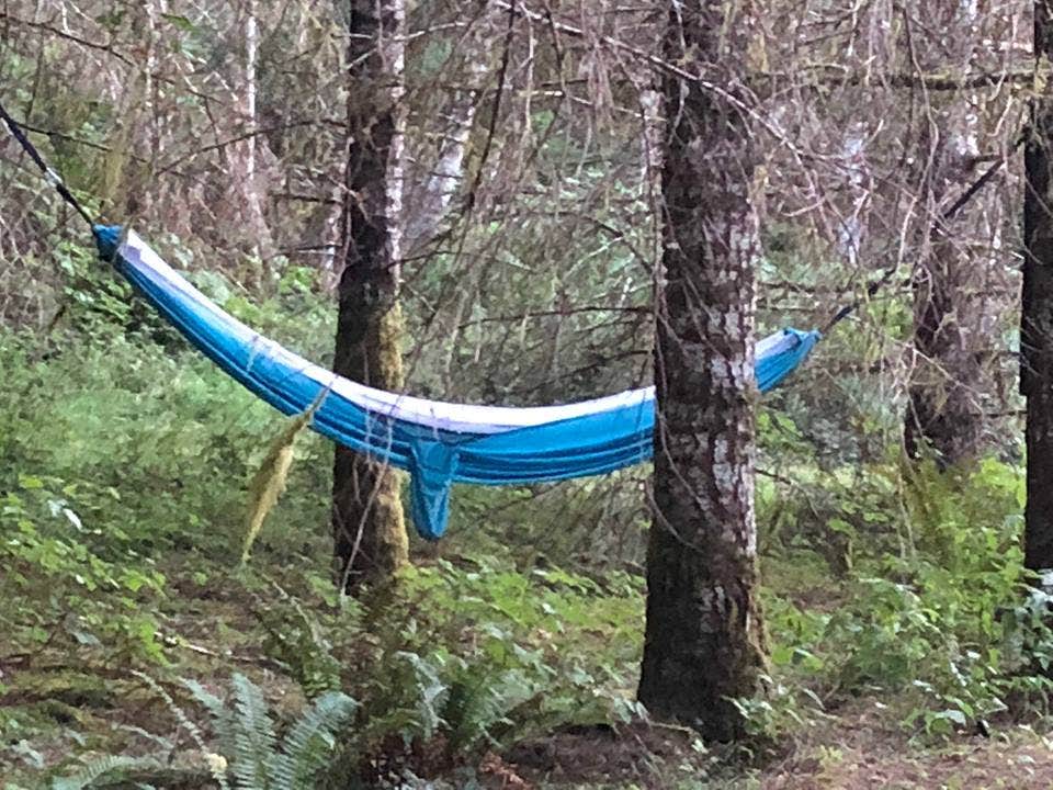 Camper submitted image from Reiki Ranch in Lewis County Campground - 3