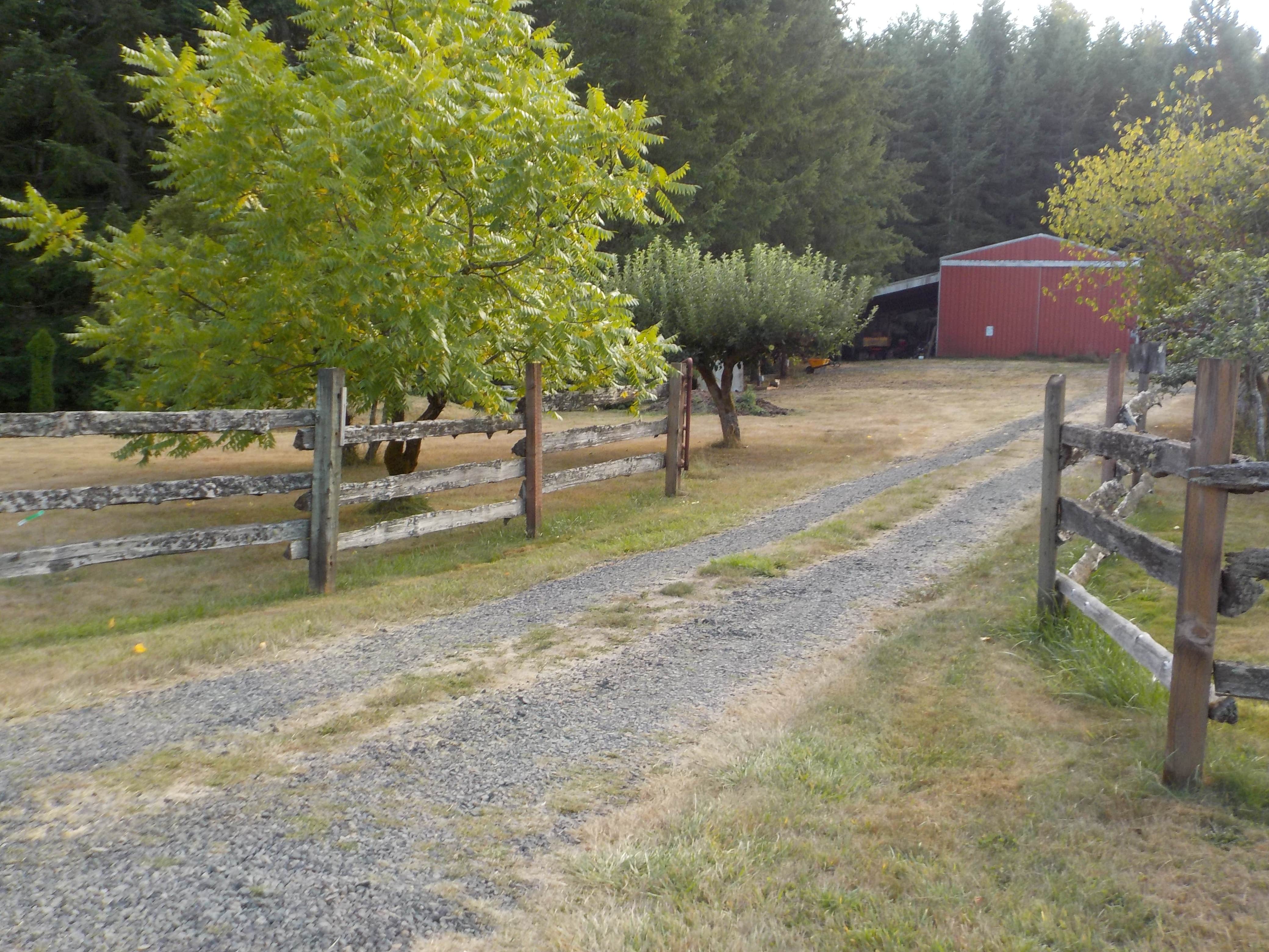 Camper-submitted photo at Reiki Ranch in Lewis County Campground near Toledo, WA