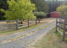 Reiki Ranch in Lewis County Campground