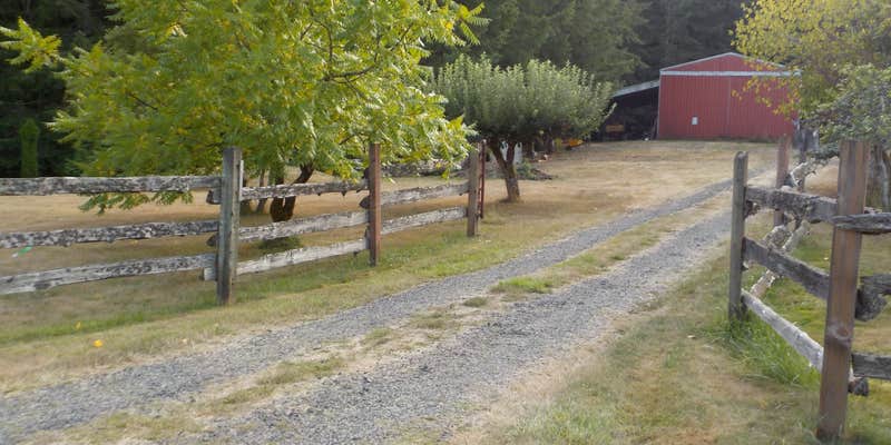 Camper submitted image from Reiki Ranch in Lewis County Campground
