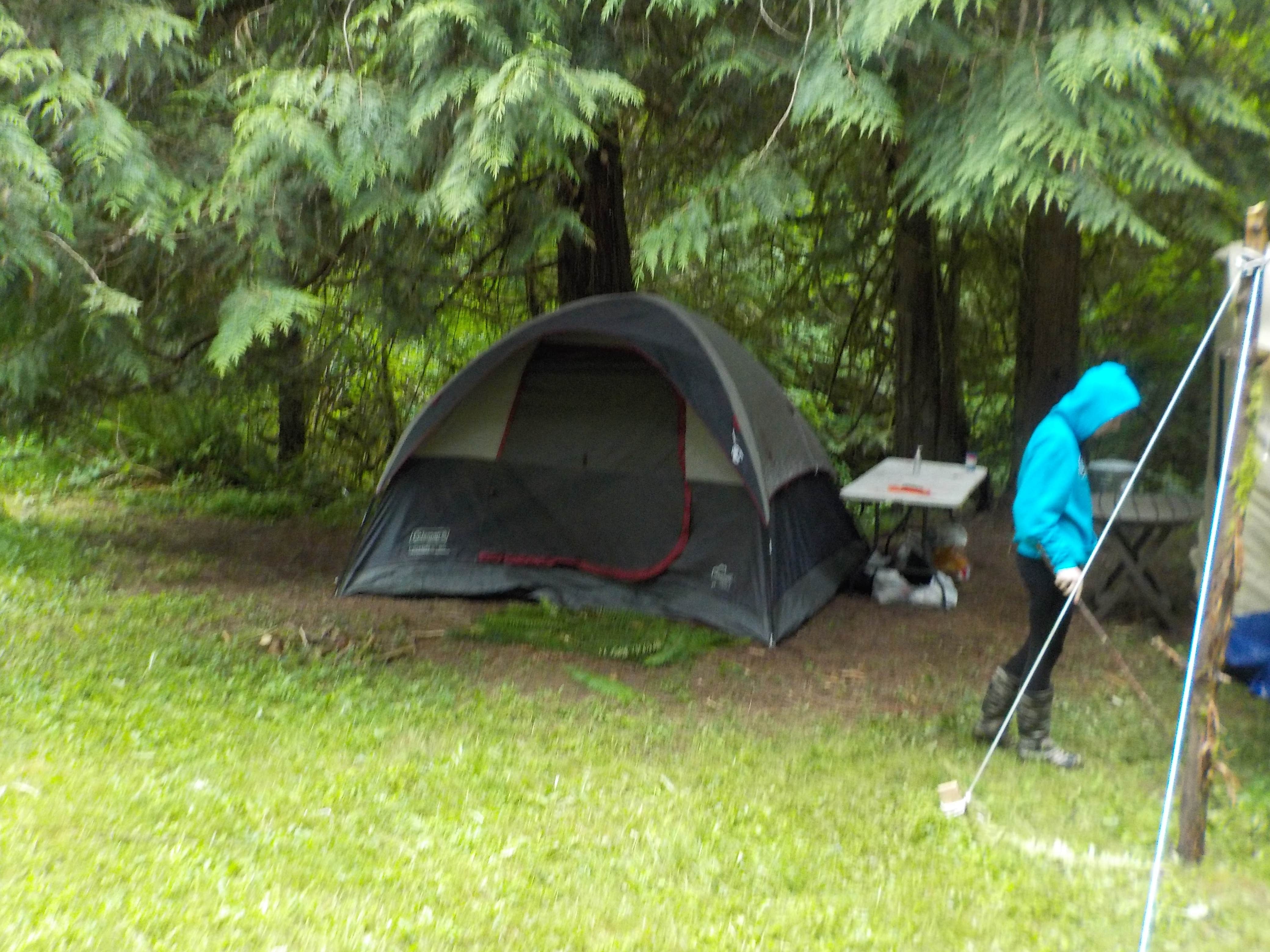Taylore V.'s photo of camping with pets at Reiki Ranch in Lewis County Campground near Bucoda, WA