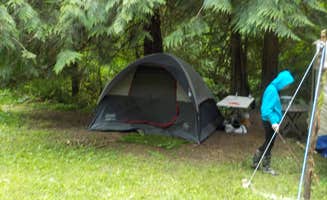 Taylore V.'s photo of camping with pets at Reiki Ranch in Lewis County Campground near Onalaska, WA