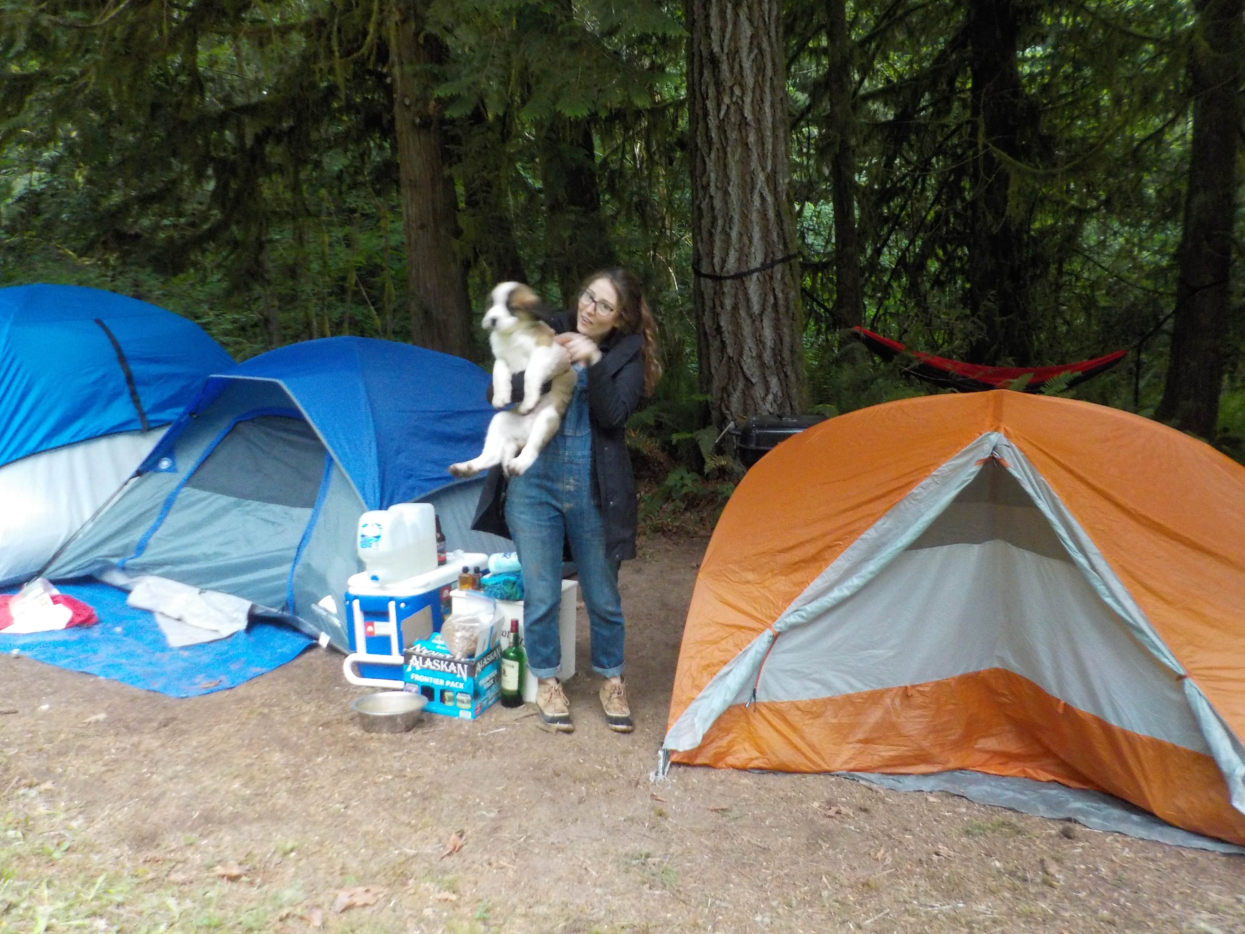 Camper-submitted photo at Reiki Ranch in Lewis County Campground near Toledo, WA