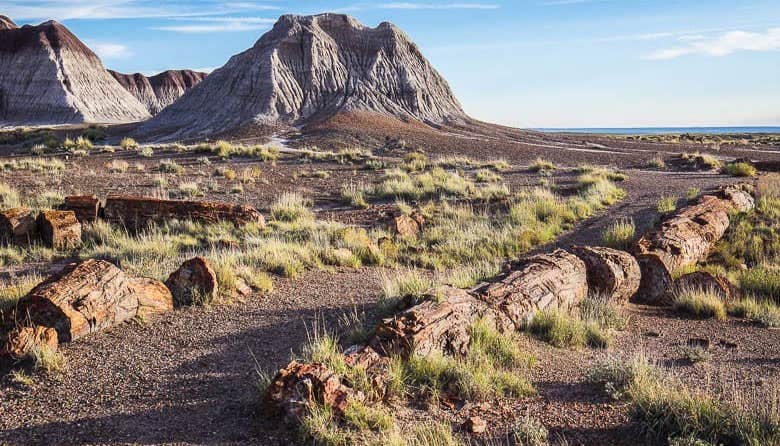 Petrified Forest Natl Park