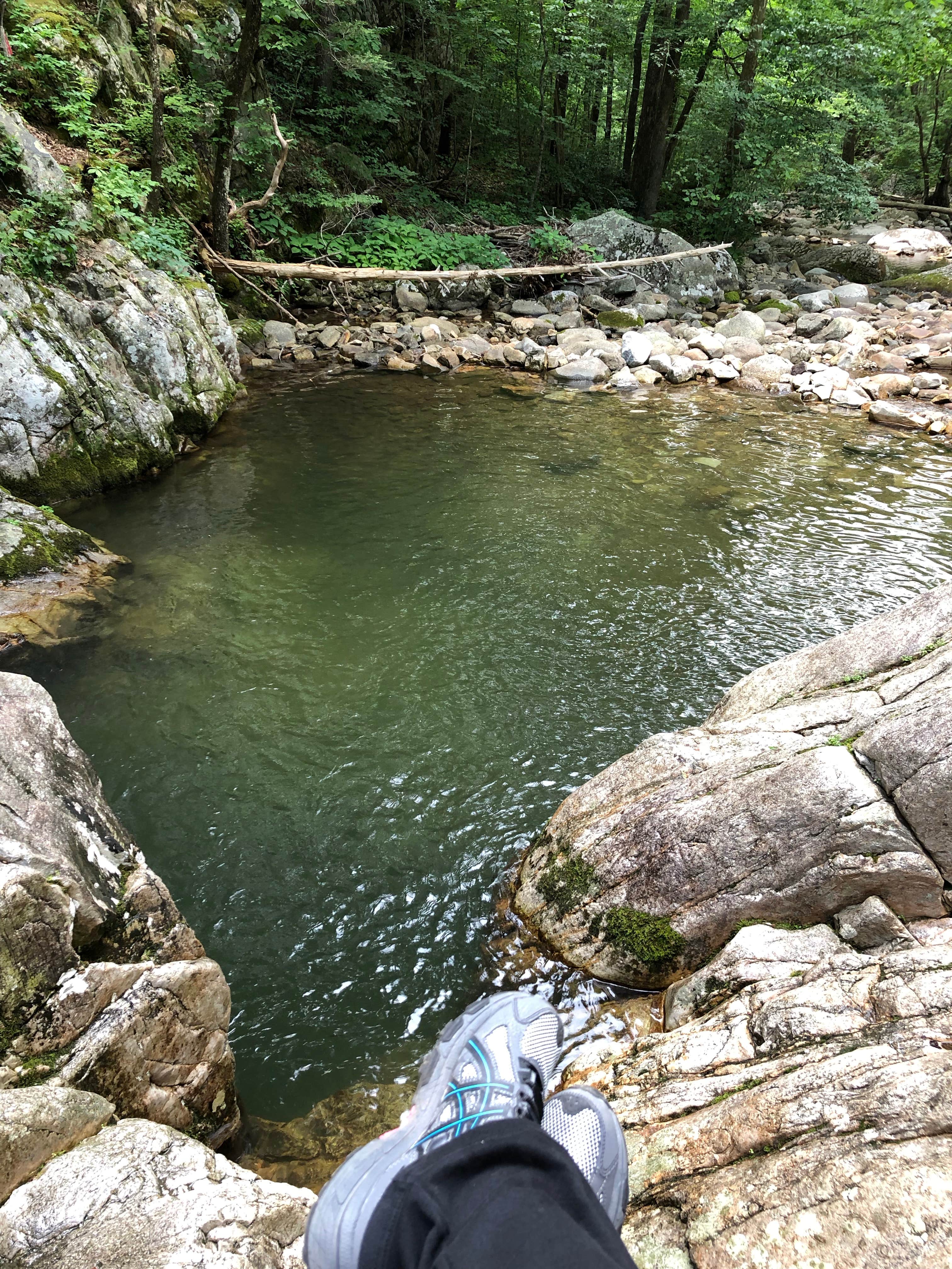 Cave Mountain Lake Recreation Area Camping The Dyrt
