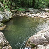 Review photo of Cave Mountain Lake Recreation Area by Tiffany D., July 10, 2019