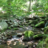 Review photo of Cave Mountain Lake Group Camp — George Washington & Jefferson National Forest by Tiffany D., July 10, 2019