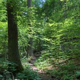 Review photo of Cave Mountain Lake Group Camp — George Washington & Jefferson National Forest by Tiffany D., July 10, 2019