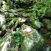 Review photo of Cave Mountain Lake Group Camp — George Washington & Jefferson National Forest by Tiffany D., July 10, 2019