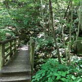 Review photo of Cave Mountain Lake Group Camp — George Washington & Jefferson National Forest by Tiffany D., July 10, 2019