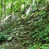 Review photo of Cave Mountain Lake Group Camp — George Washington & Jefferson National Forest by Tiffany D., July 10, 2019