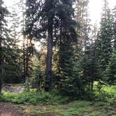 Review photo of Target Meadows Campground — Umatilla National Forest by Justin L., July 10, 2019