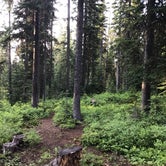Review photo of Target Meadows Campground by Justin L., July 10, 2019
