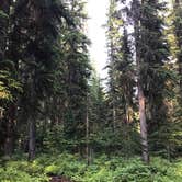 Review photo of Target Meadows Campground — Umatilla National Forest by Justin L., July 10, 2019