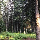 Review photo of Target Meadows Campground — Umatilla National Forest by Justin L., July 10, 2019