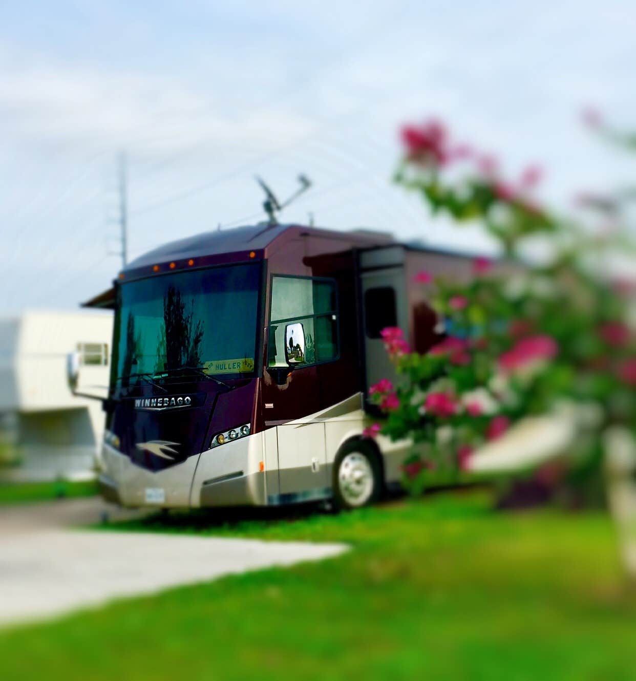 Camper-submitted photo at Bluebonnet RV Resort near Ratcliff, TX