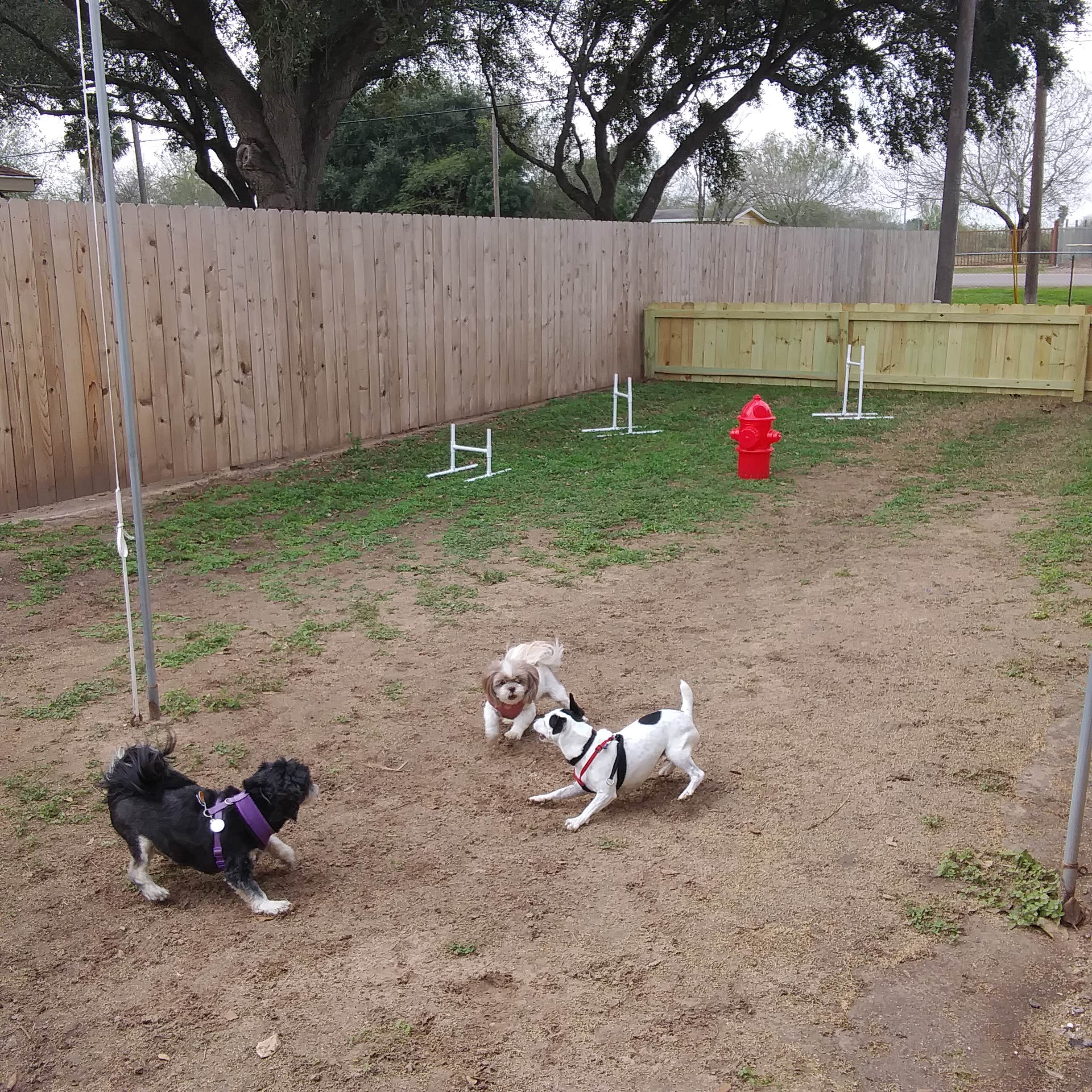 John B.'s photo of camping with pets at Bluebonnet RV Resort near Mission, TX