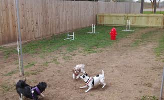 John B.'s photo of camping with pets at Bluebonnet RV Resort in Texas
