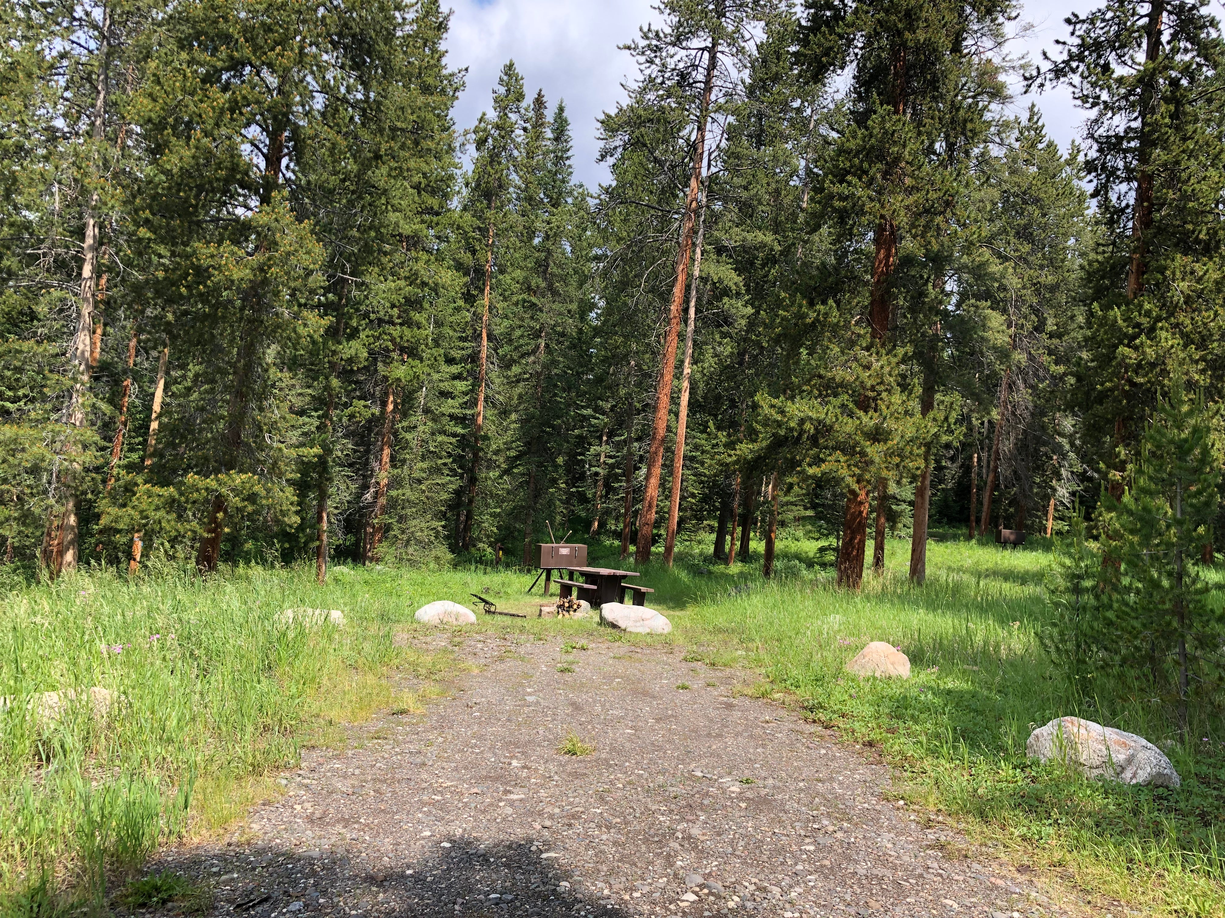 Camper submitted image from Lake Creek Campground - 3