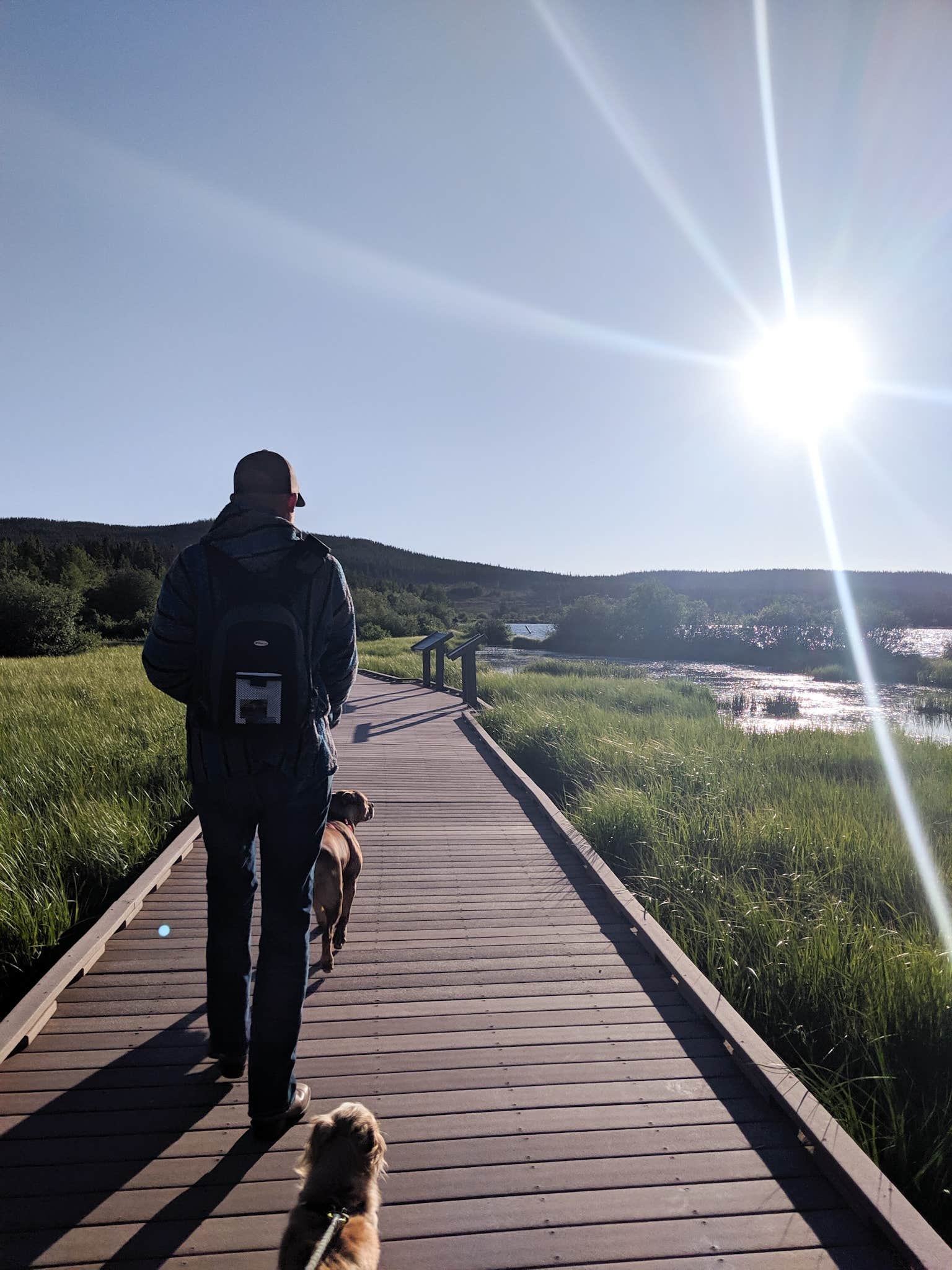 Escape to Serenity: Your Guide to Owen Lake Campground in Minnesota