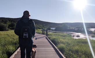 Bayley W.'s photo of camping with pets at Lake Owen Campground near Elk Mountain, WY
