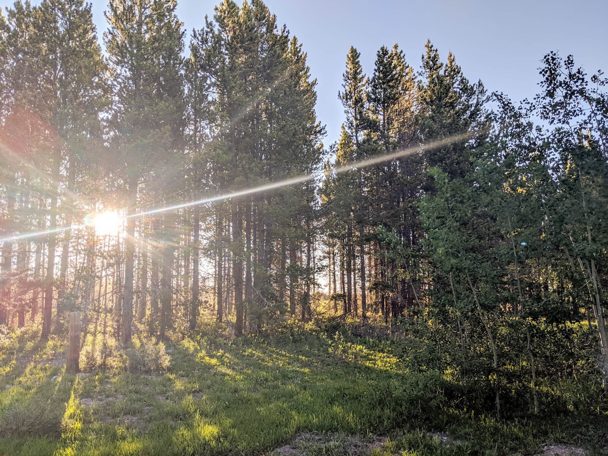 Camper-submitted photo at Lake Owen Campground near Jelm, WY