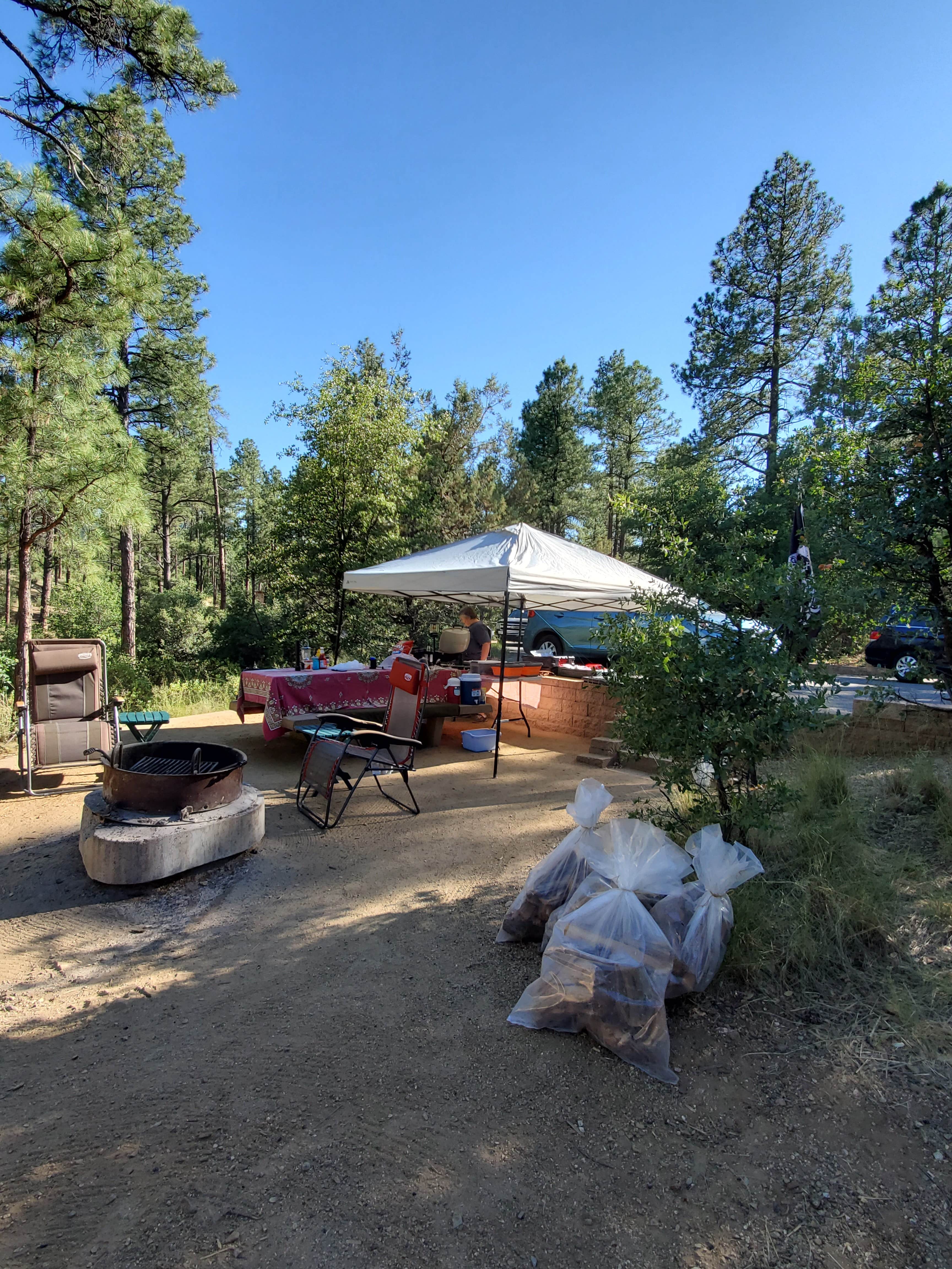 Cindy E.'s photo of a dispersed camping area at Prescott National Forest Dispersed near Seligman, AZ