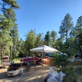 Review photo of Prescott National Forest Dispersed by Cindy E., July 10, 2019